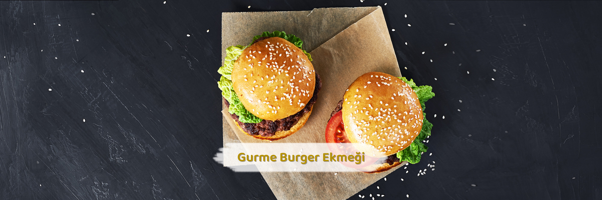 slider313689841286125